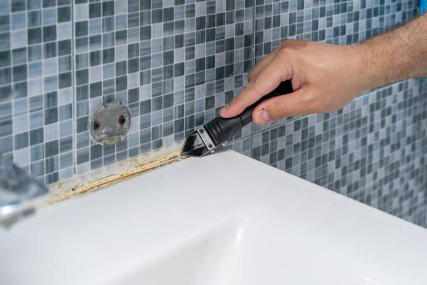Best Mold Testing  in North Valley, NM